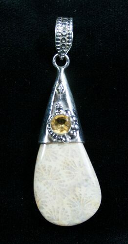 Beautiful Fossil Coral Pendant #7722
